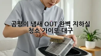 🏡 곰팡이 냄새 OUT! 완벽 지하실 청소 가이드 (대구)