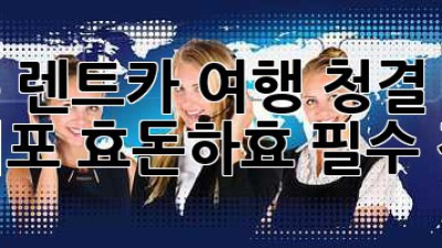 제주 렌트카 여행🚗🧼: 청결 꿀팁 & 서귀포 효돈/하효 필수 정보!